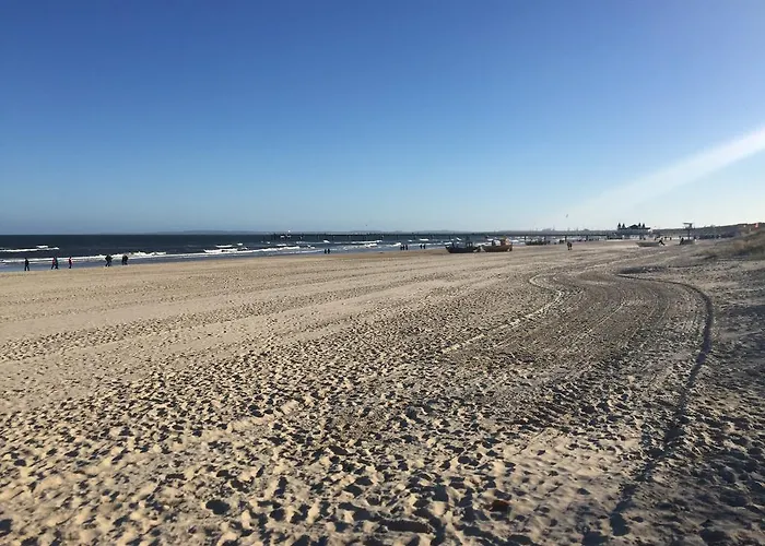 דירה Am - Neubau הרינגסדורף